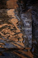 Cover of Into the Stream